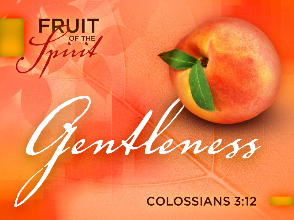 Meekness – Fruit of the Spirit